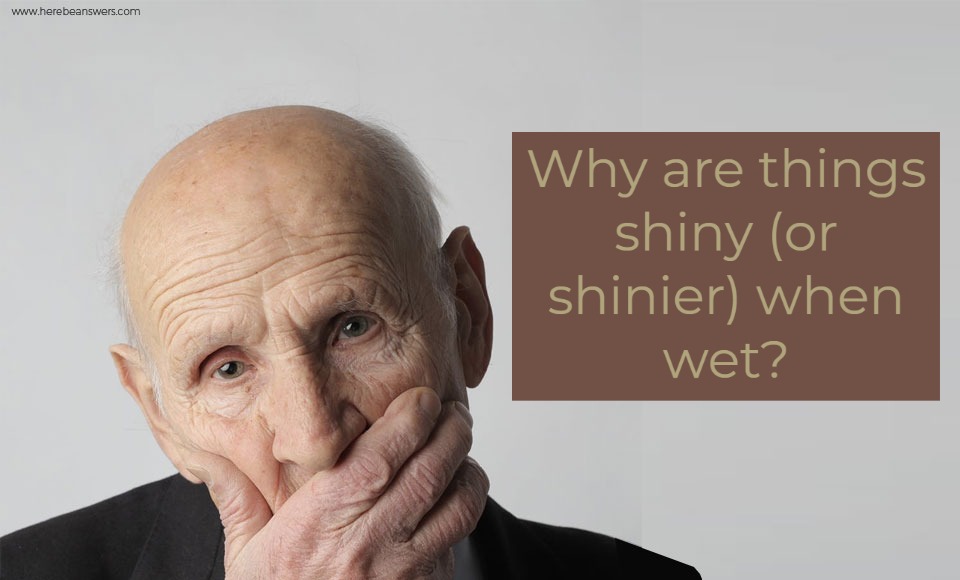 Why are things shiny (or shinier) when wet?