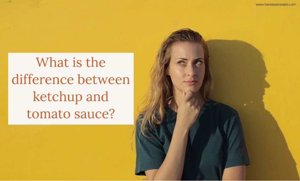 What is the difference between ketchup and tomato sauce