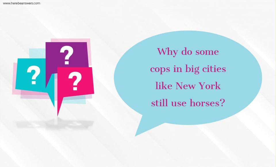 Why do some cops in big cities like New York still use horses?