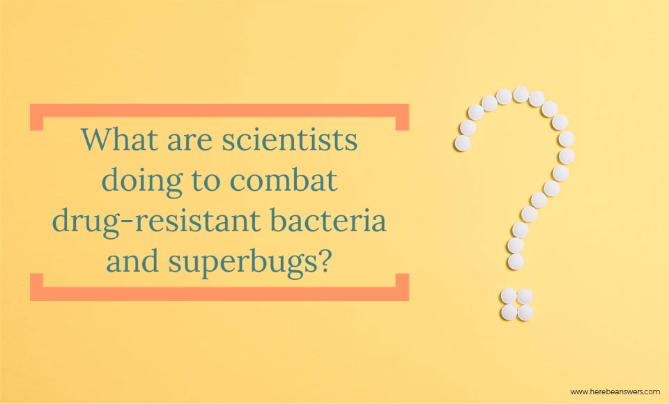 What are scientists doing to combat drug resistant bacteria and superbugs