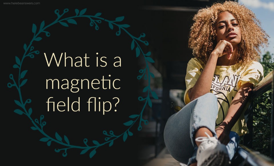 What is a magnetic field flip