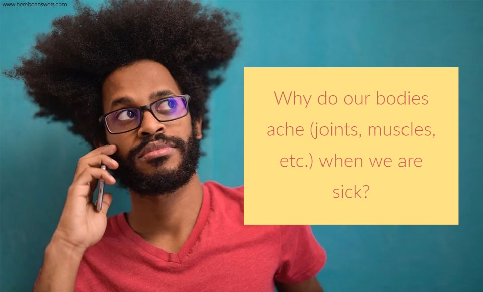 Why do our bodies ache (joints muscles, etc.) when we are sick?