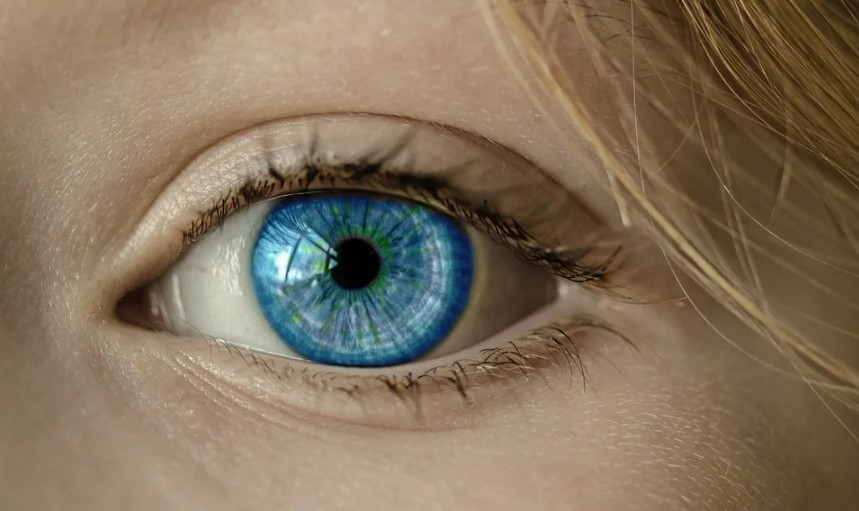 An eye with a blue iris