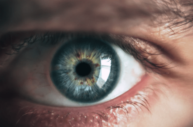 a close-up photo of a human eye