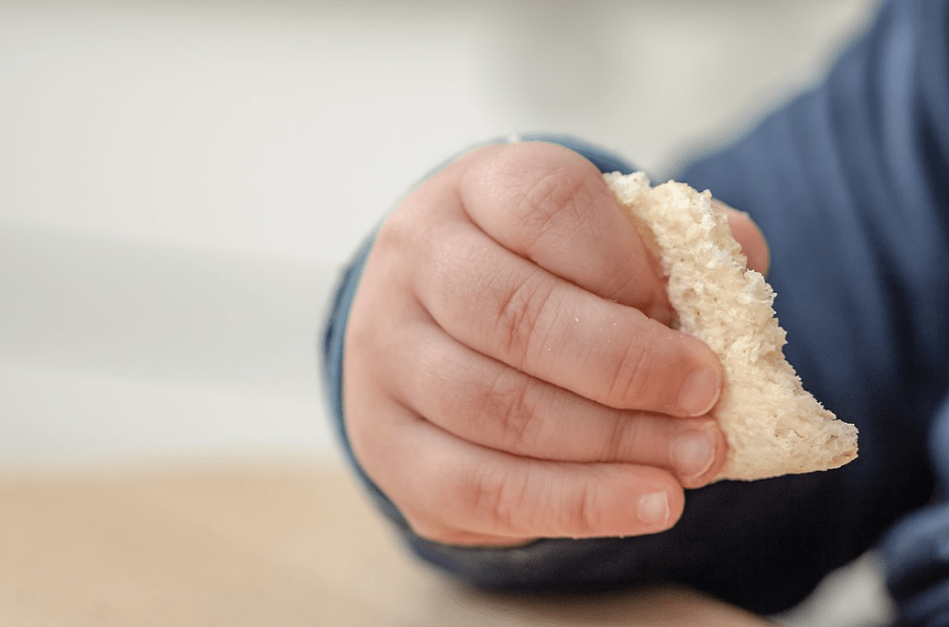 baby in blue sweater, hand holding a biscuit, white biscuit