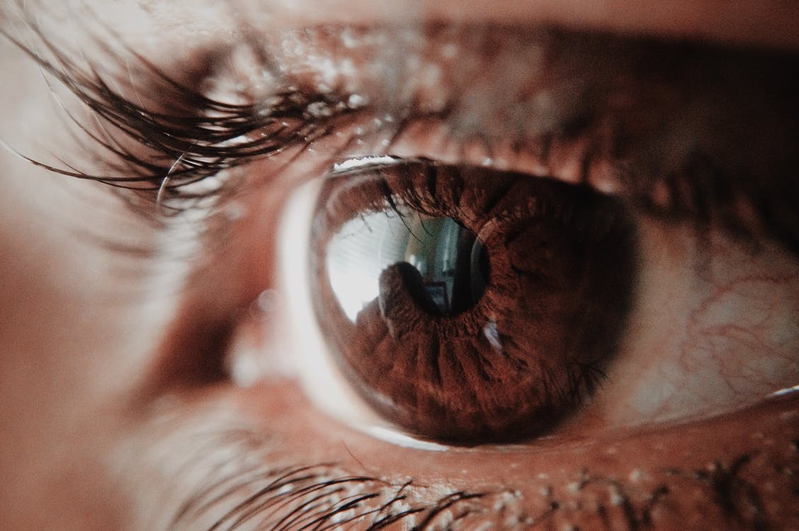 a brown human eye