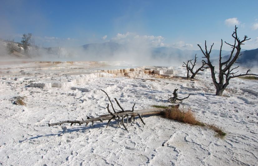 a barren land covered with ice