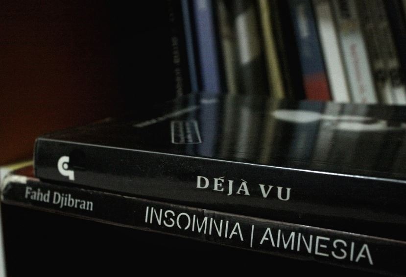a book about déjà vu stacked on a book about insomnia-amnesia