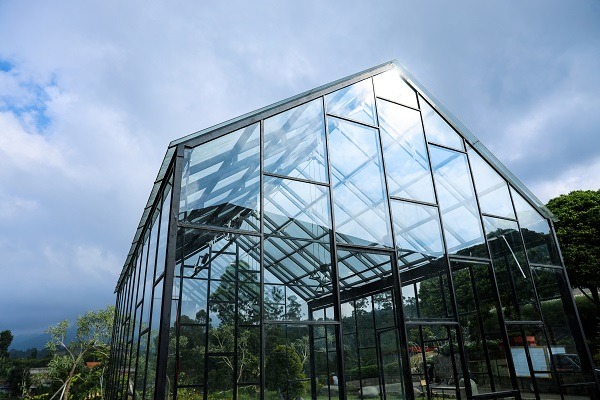 Do You Need a Greenhouse In Your Garden