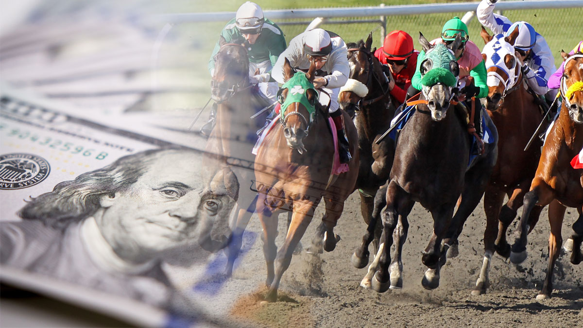 Best Strategies For Horse Race Betting Online