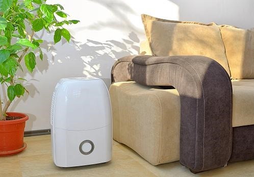 Where To Buy Dehumidifier in Singapore What You Need to Know