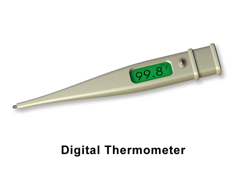 Thermometer (Digital)
